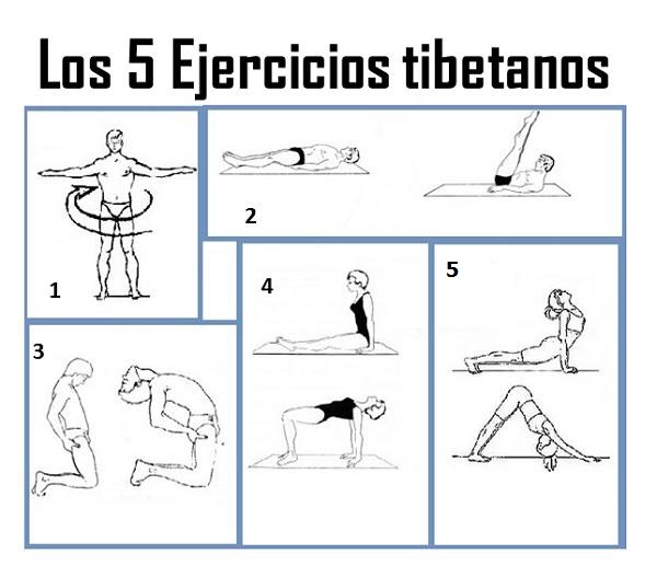 Los-5-Ejercicios-tibetanos