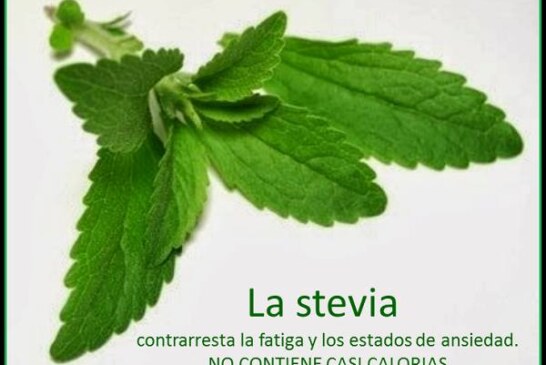 Beneficios de la Stevia, un edulcorante natural